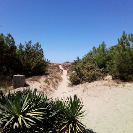 Casa Nel Parco Sulla Spiaggia Pisa Buitenkant foto