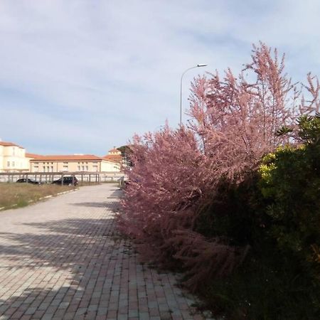 Casa Nel Parco Sulla Spiaggia Pisa Buitenkant foto