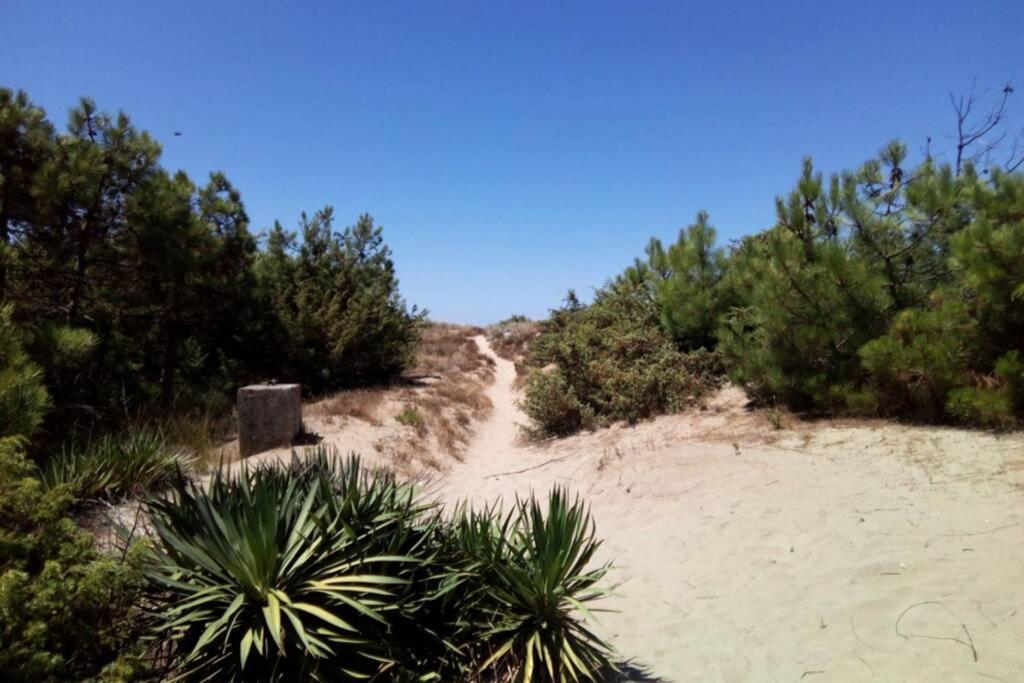 Casa Nel Parco Sulla Spiaggia Pisa Buitenkant foto